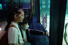 10: 20260508_28